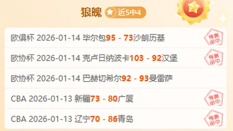 塞鸟及奥斯卡归化手续加速，预计转会窗截止前完成